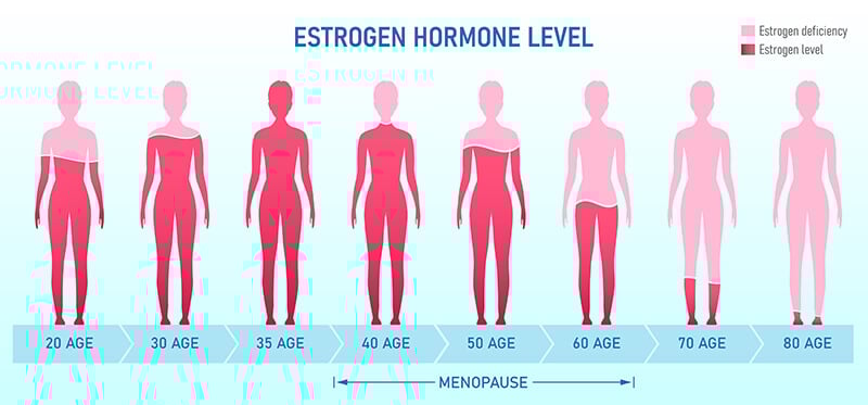 Graphic that shows the estrogen hormone levels in women at various ages