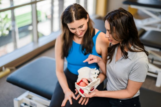A female physical therapist showing a female patient a replica of the pelvic floor. 